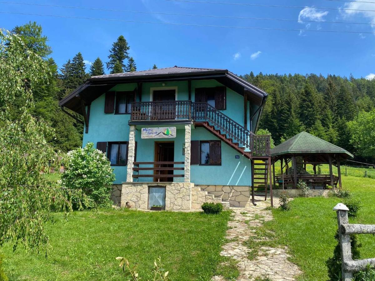 Mystic Forest Hostel Mitrovac Exterior foto