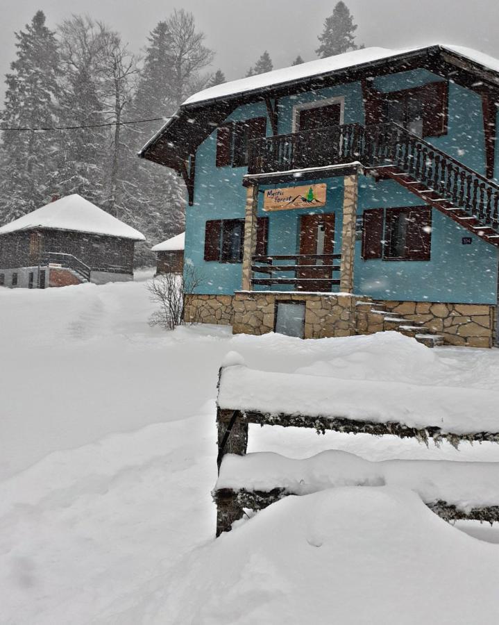 Mystic Forest Hostel Mitrovac Exterior foto